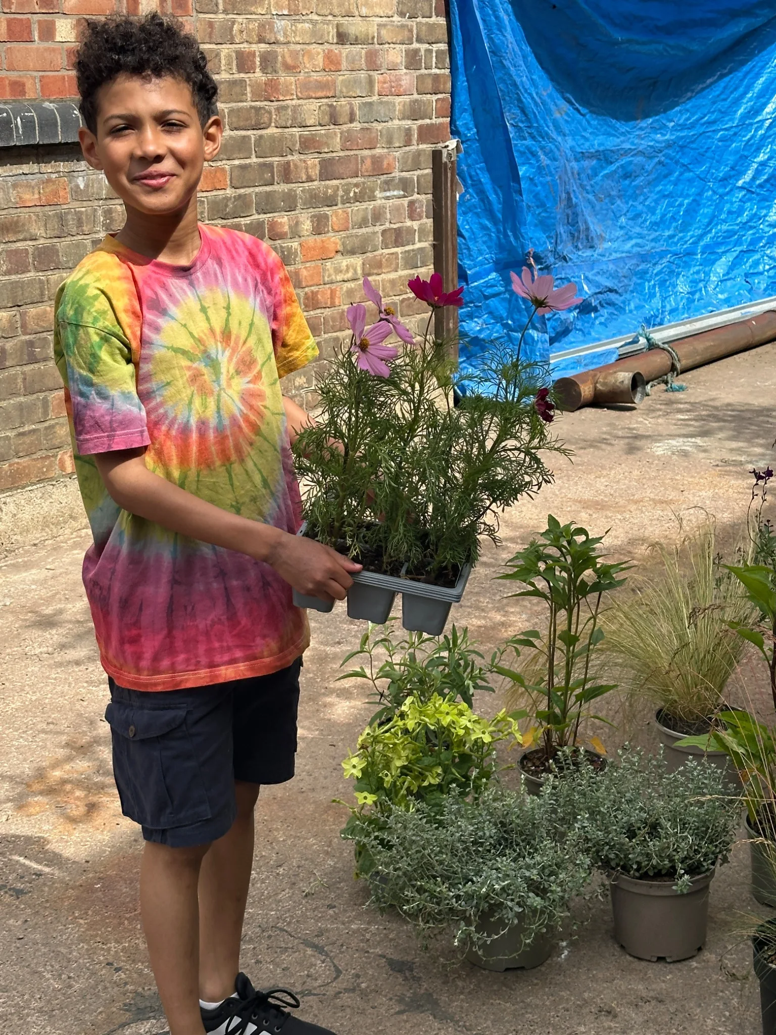 Young gardener bringing plants to the courtyard