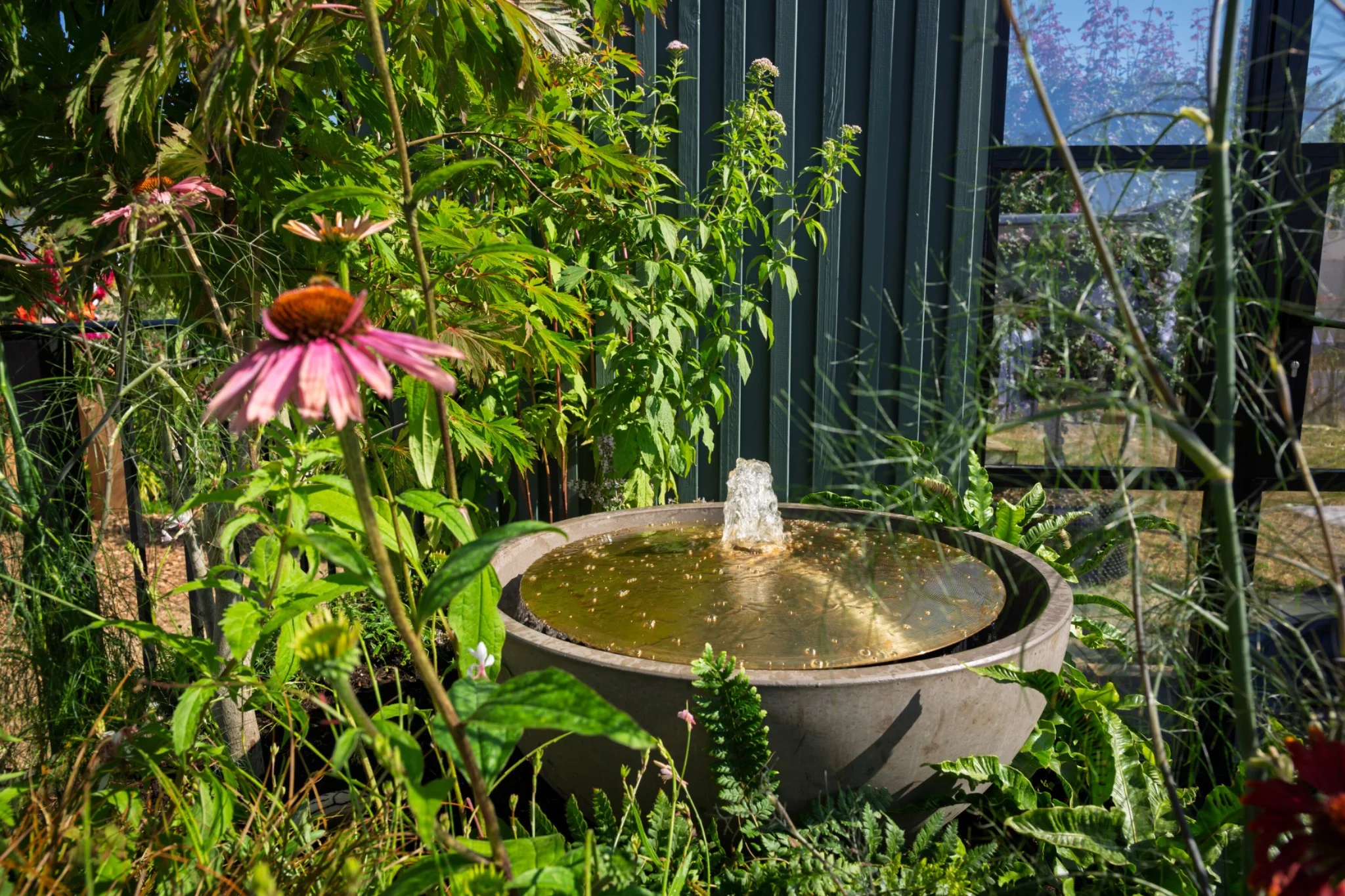 Water feature surrounded by planting in Whiskers and Wildflowers