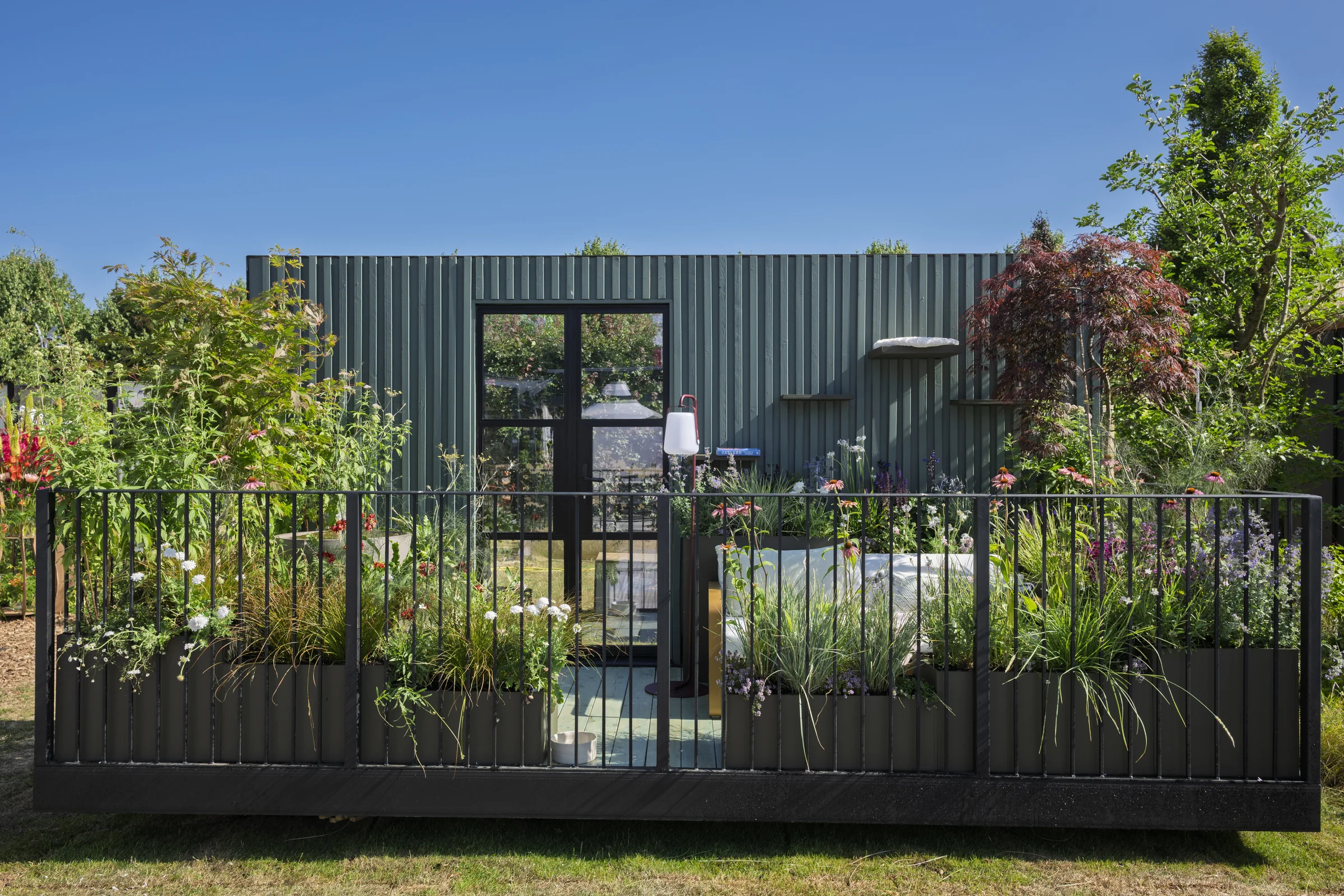Whiskers and Wildflowers planting at RHS Hampton Court 2025