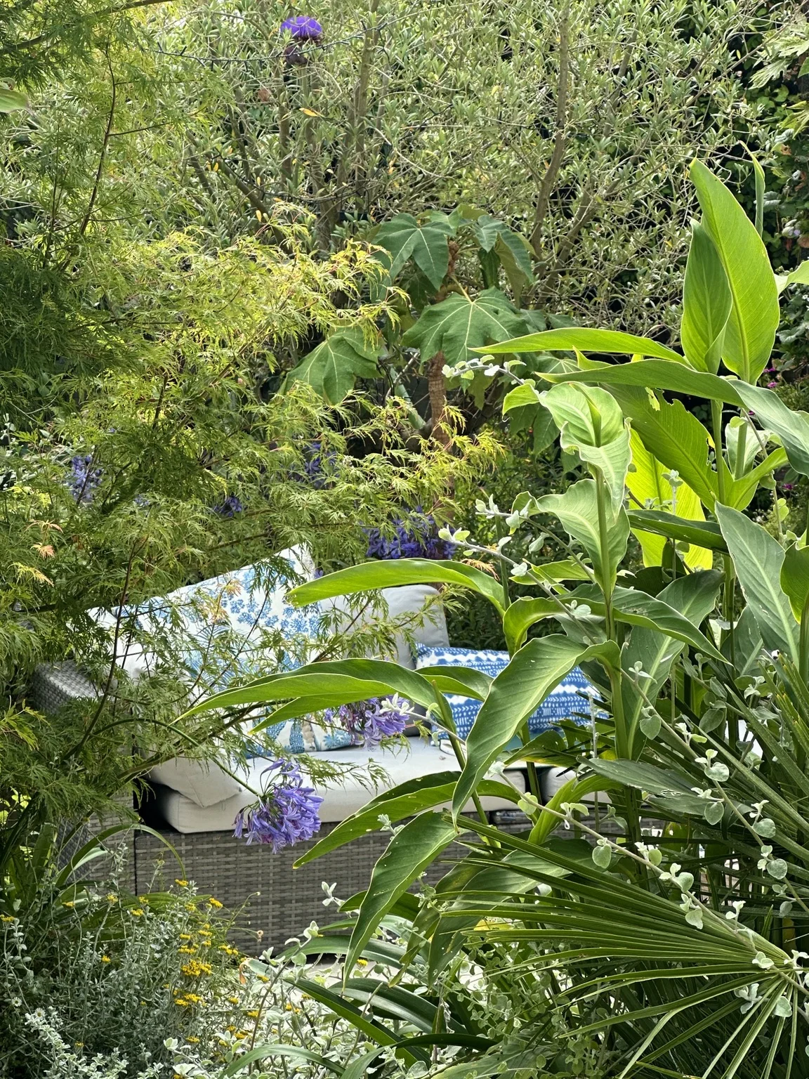 Layered planting around the seating area