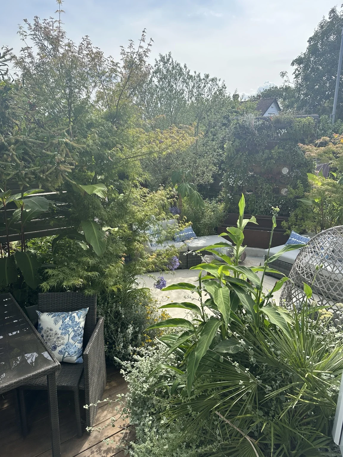 Wide view across the Mediterranean inspired garden