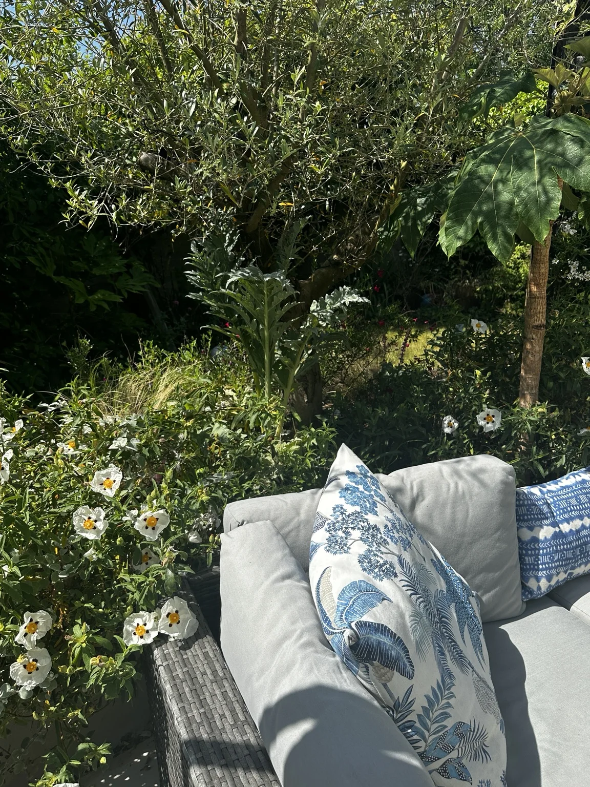 Outdoor seating surrounded by Mediterranean style planting