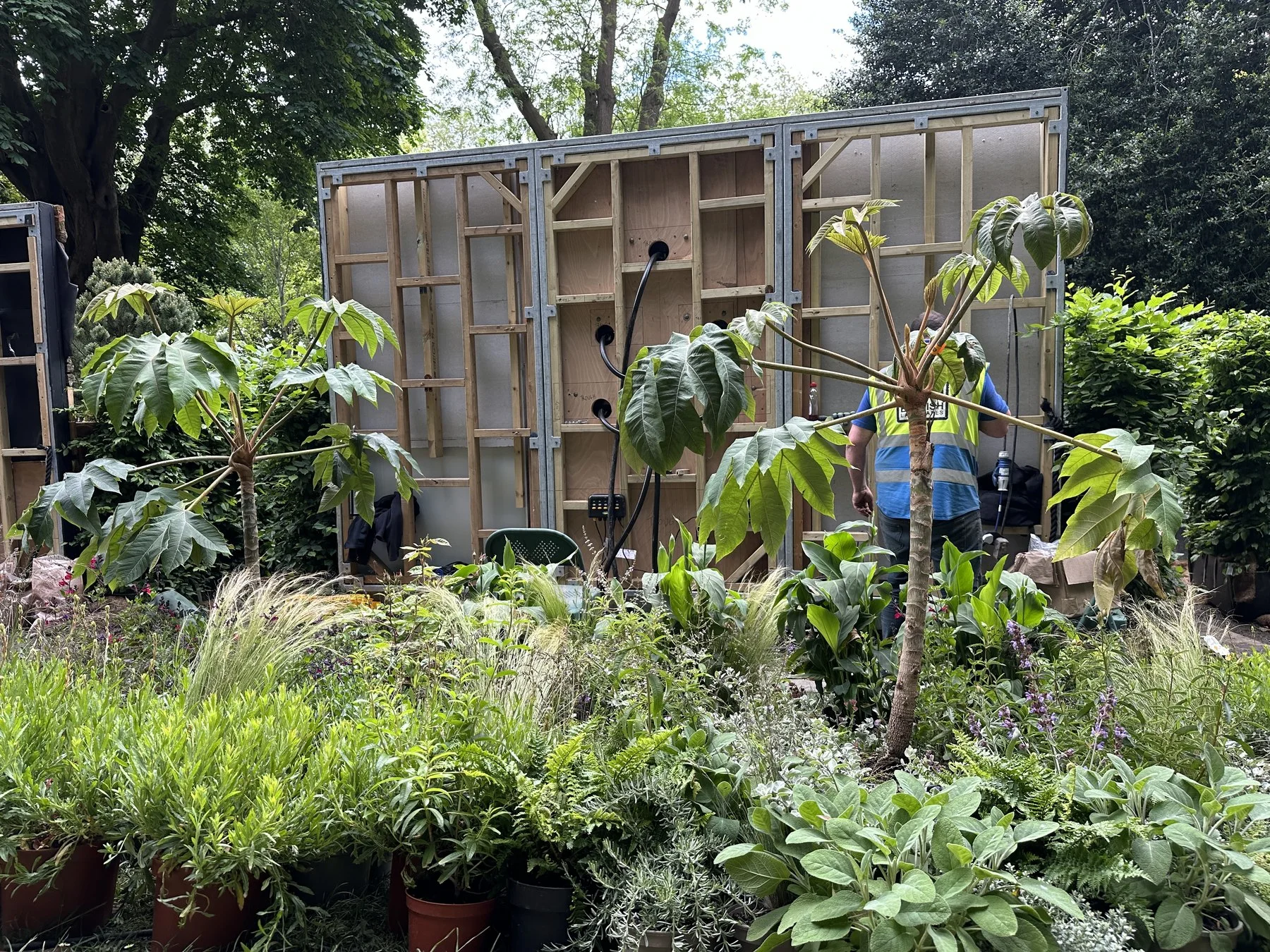 Plants and construction materials during the RHS Chelsea build