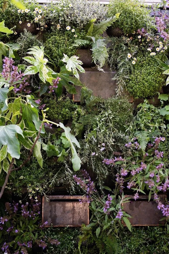 Layered living-wall planting in The Anywhere Courtyard at RHS Chelsea Flower Show 2024