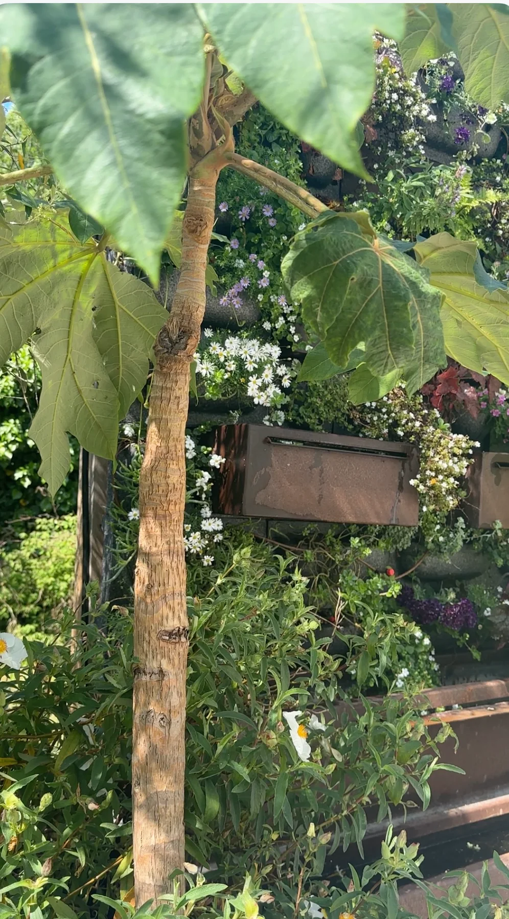 Botanical planting detail
