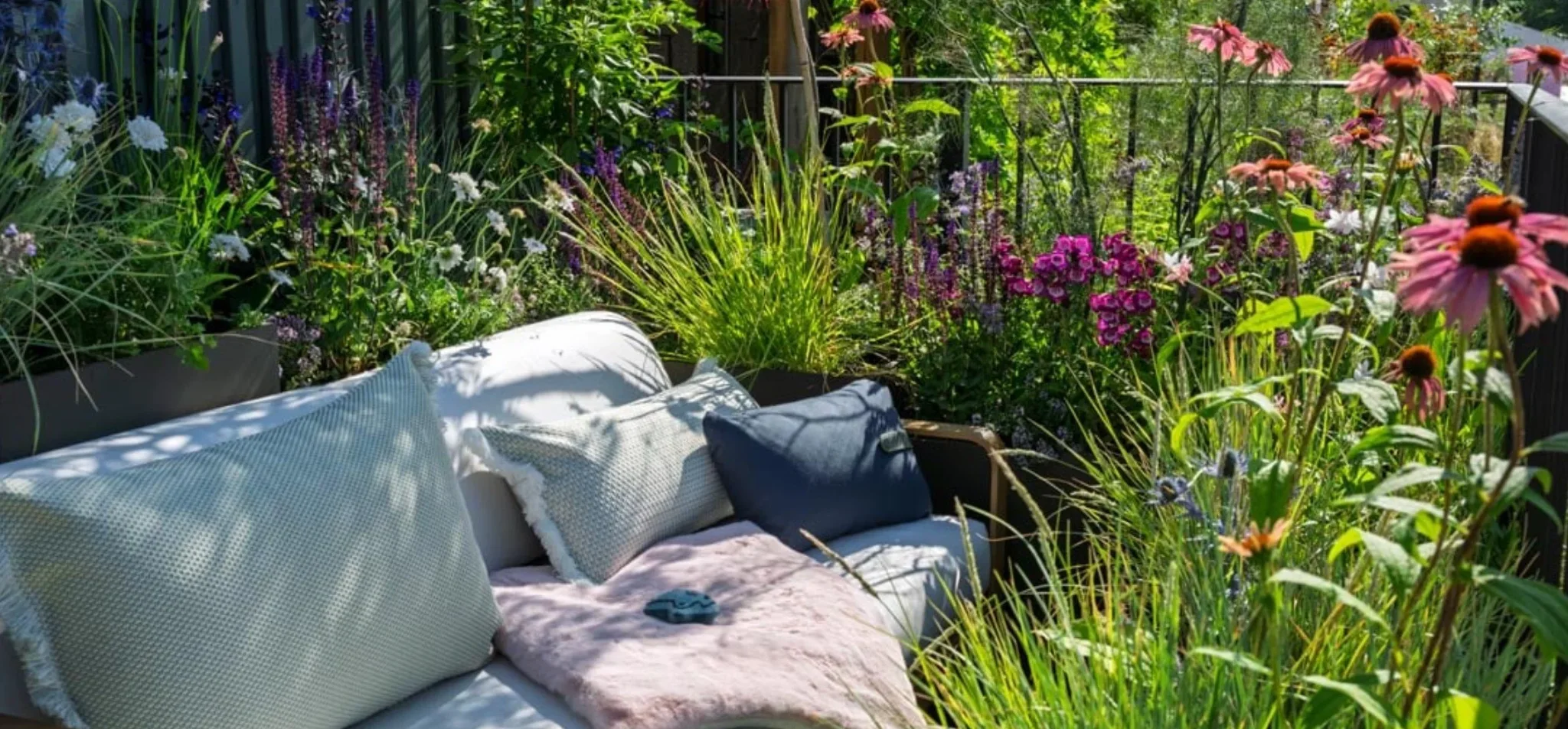 Whiskers and Wildflowers at RHS Hampton Court 2025